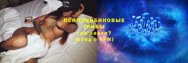 дживик Балахна