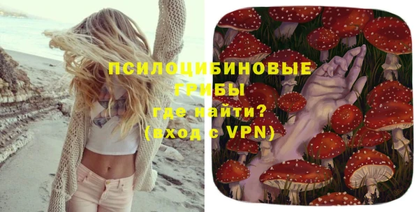дживик Балахна