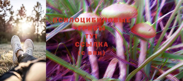 дживик Балахна